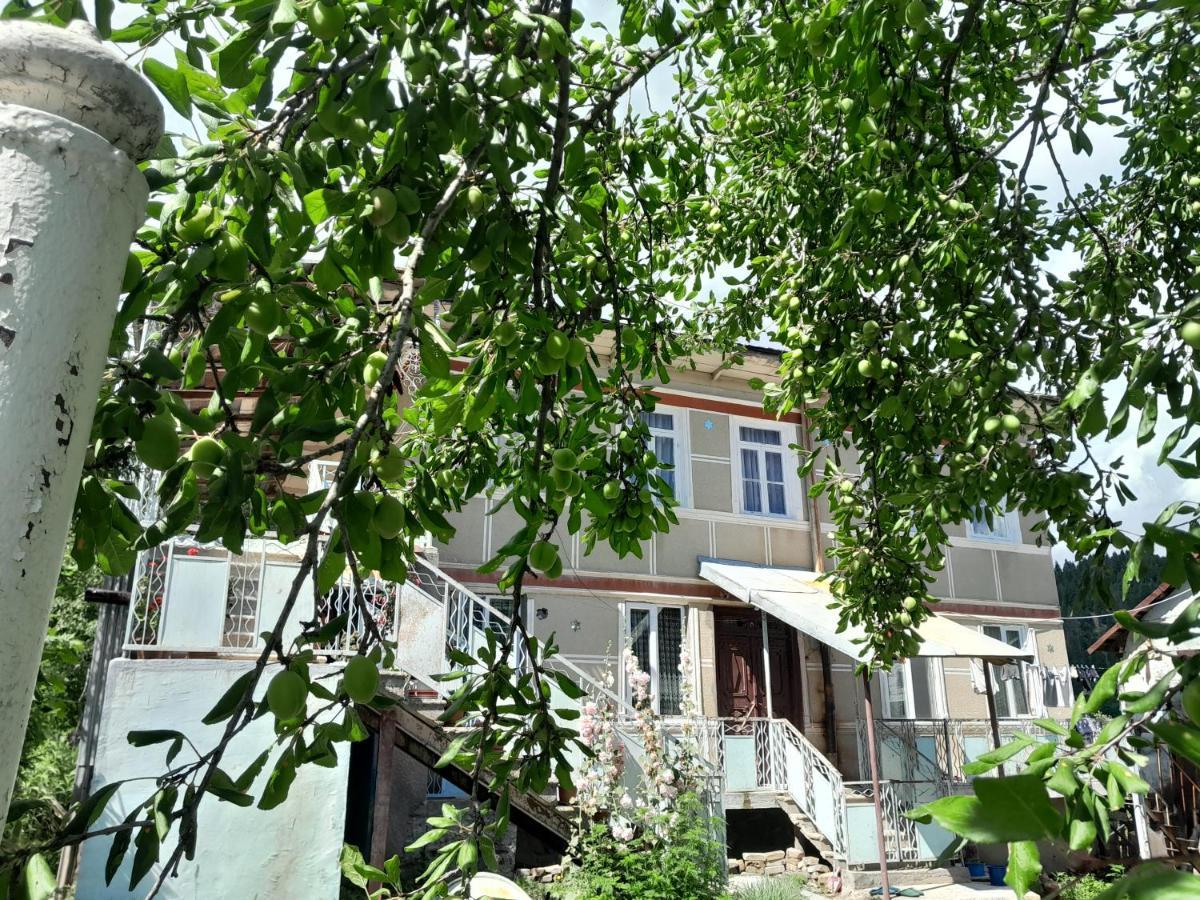 Armazi Hotel Khulo Kültér fotó
