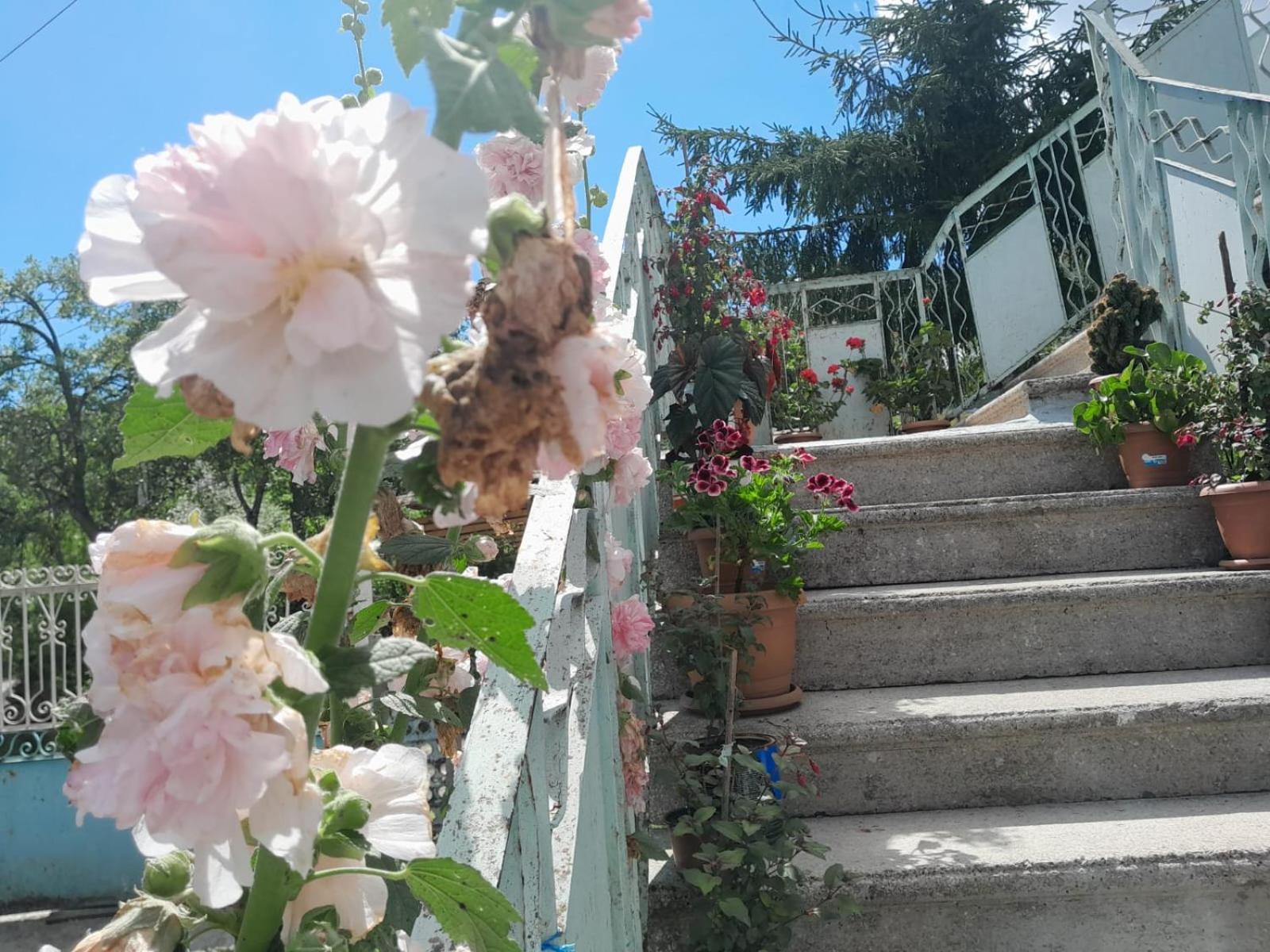 Armazi Hotel Khulo Kültér fotó