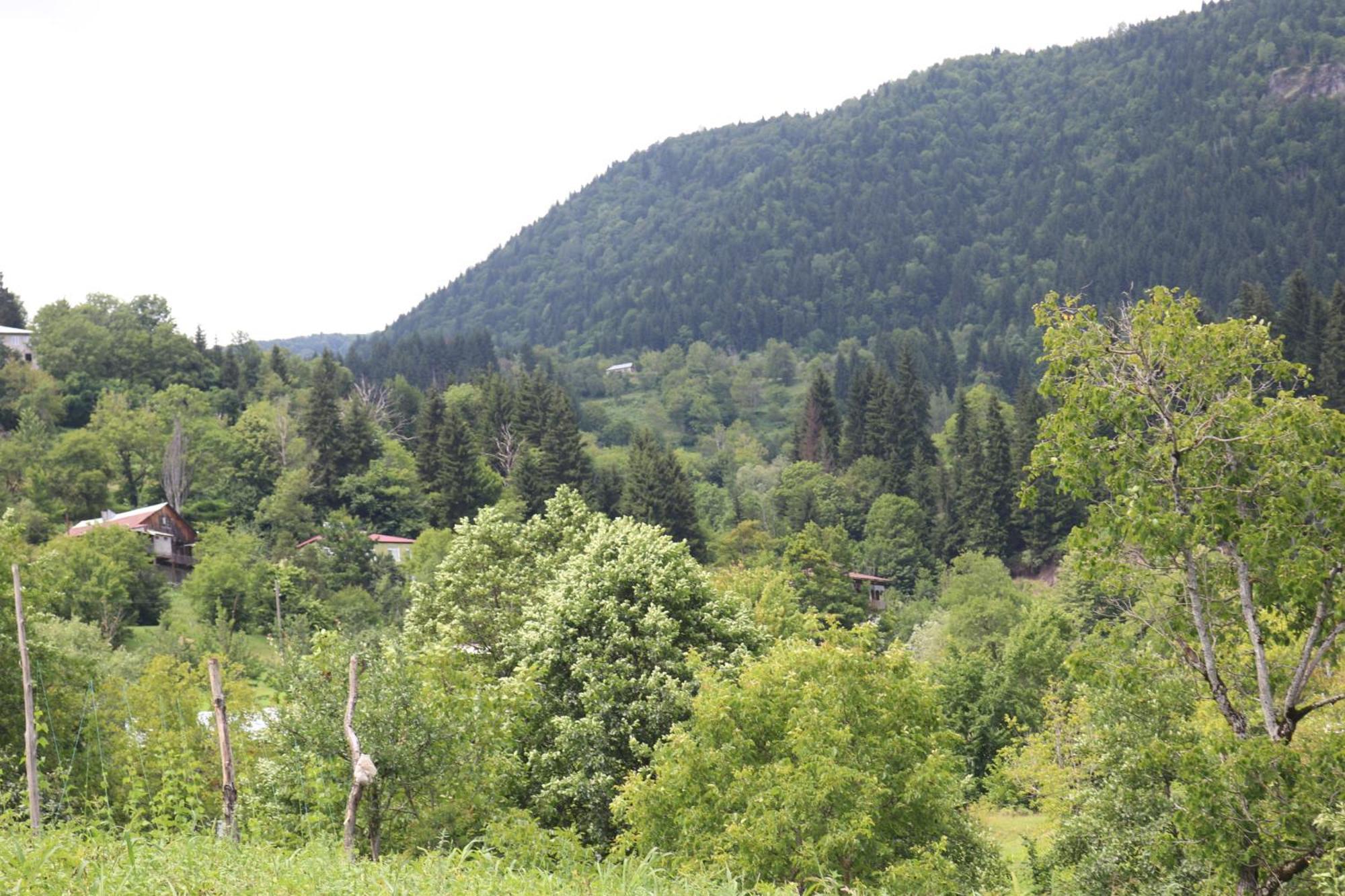 Armazi Hotel Khulo Kültér fotó