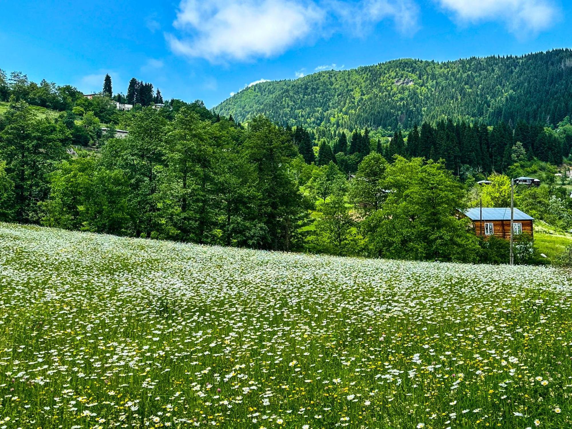 Armazi Hotel Khulo Kültér fotó