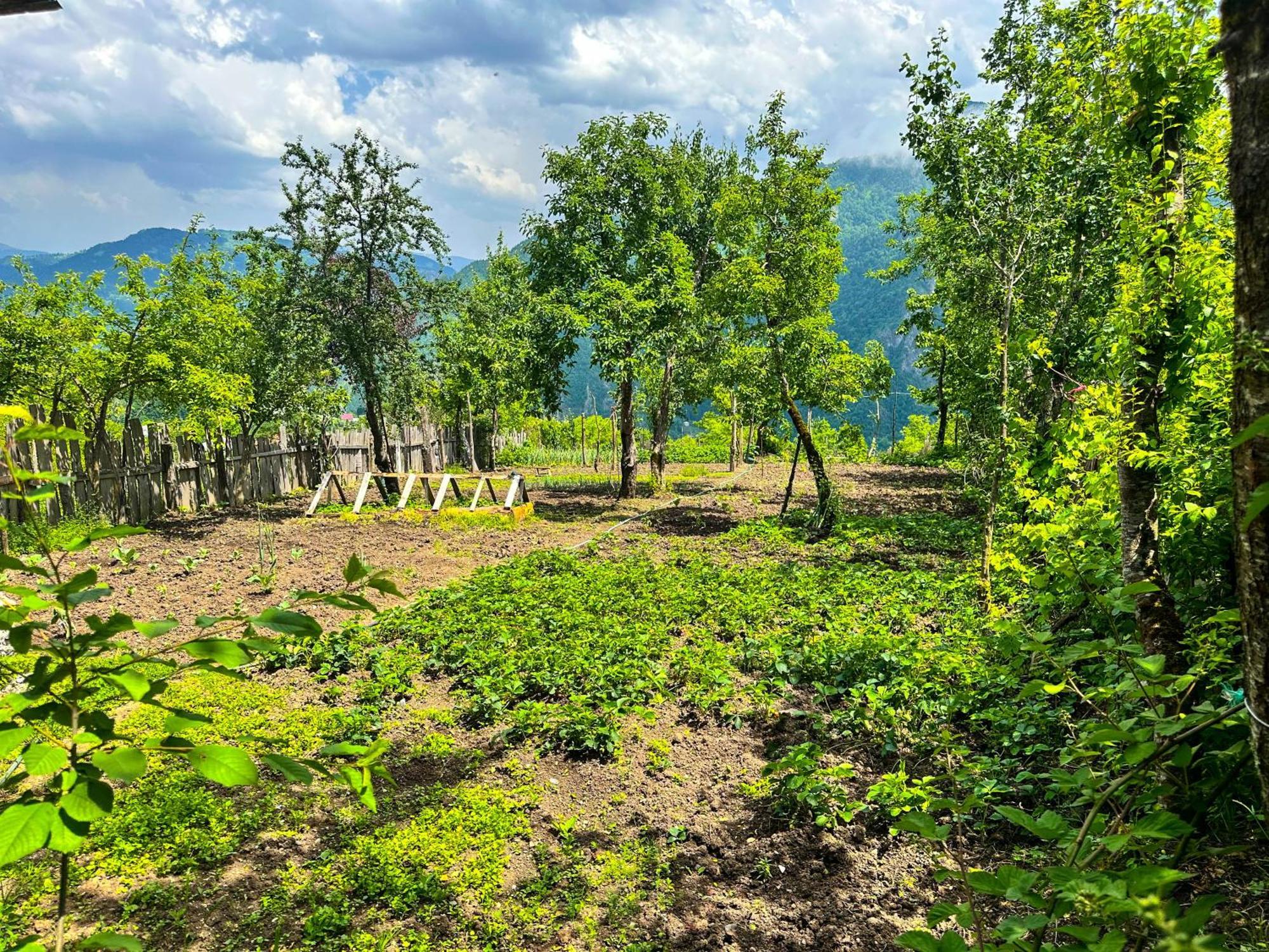 Armazi Hotel Khulo Kültér fotó