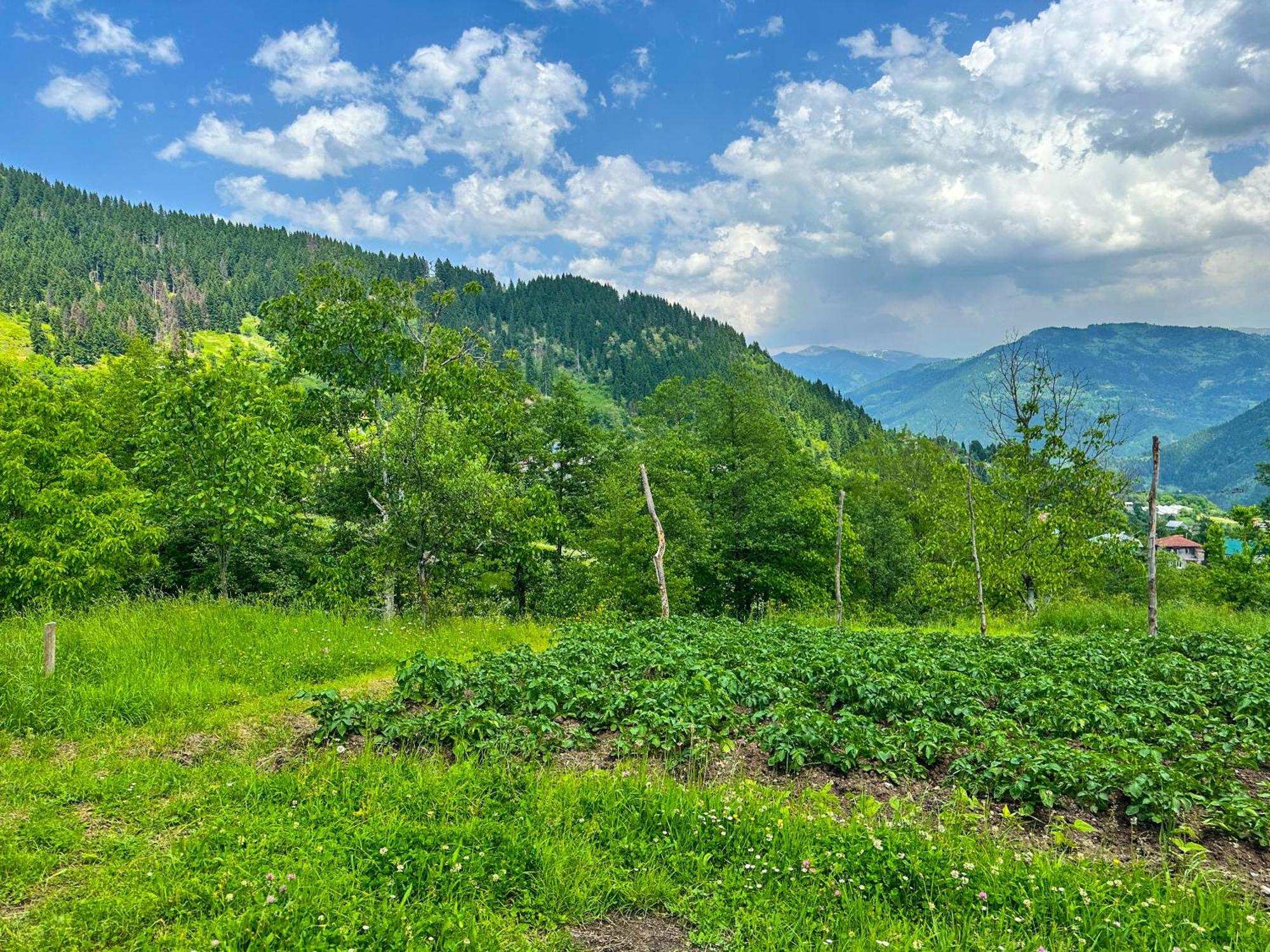 Armazi Hotel Khulo Kültér fotó