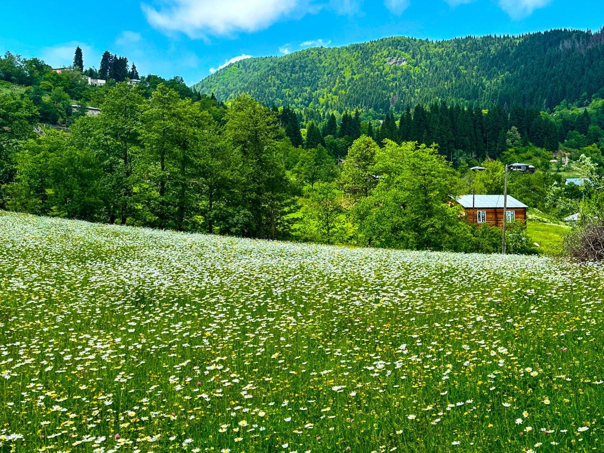 Armazi Hotel Khulo Kültér fotó
